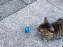 ユージンの玩具声優への道