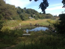 ユージンの玩具声優への道