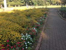 ユージンの玩具声優への道