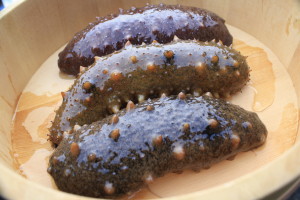 129489671651116307198__MG_8853