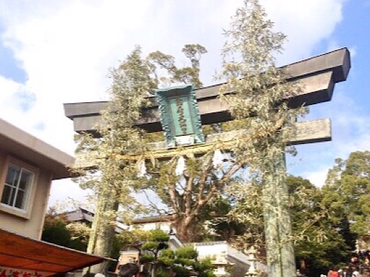 3815D50B-39E4-4FFE-8DBF-F93A3B1F87BA