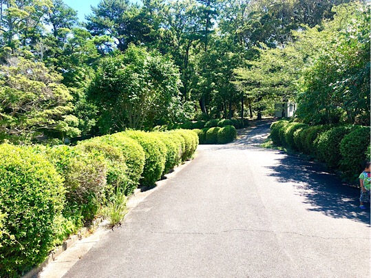 3C877F32-D25E-480F-9DB6-1806C693BED9