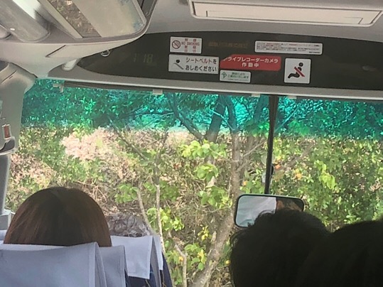 6C907F2C-F8FA-431B-A989-BE2A855B36E2