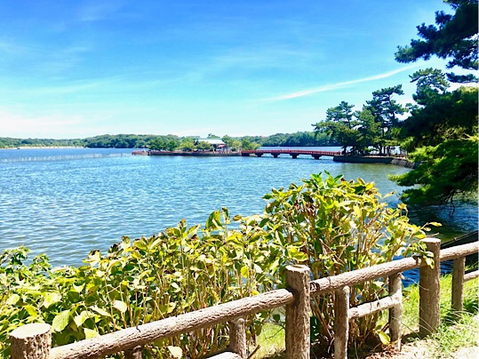 C724A7E5-70E1-4C60-AFF5-636A265C895B