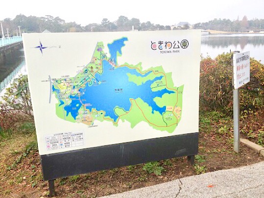 E12D30CF-DBF1-4582-ADEE-B2B2E6C7C51A