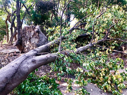 0BFA5168-4D72-4842-8023-2223A47B5E63