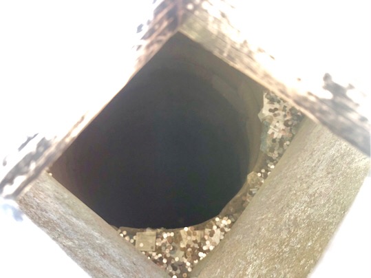 40487F96-FAE5-4752-A1DF-1496DE6C5E02