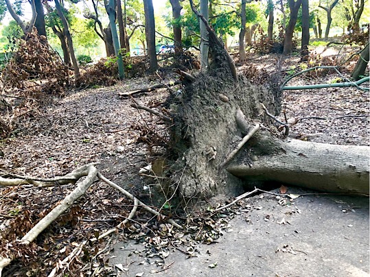 48A97804-4BF1-4BC1-BCBC-FF2D25CA8556