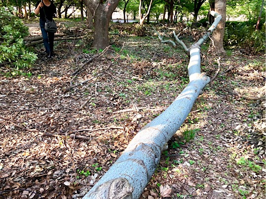 6C0B5474-AEF6-413B-AC1C-A4EFE329F481