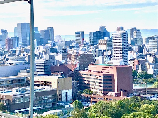 77A0C70C-6D8D-4794-A46A-46AC5AFB6425