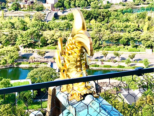 8F9445FC-1CBE-41F1-92BC-B4608C1EE118