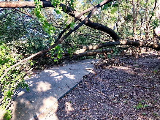 99106230-8039-45F4-84EC-8BFA143CFA4E