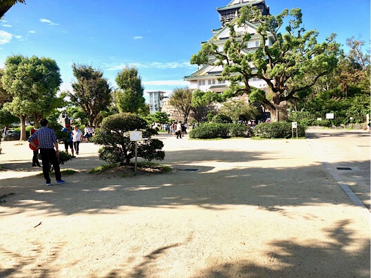 C419C99C-E29E-488C-8430-D885F0BCF3F6